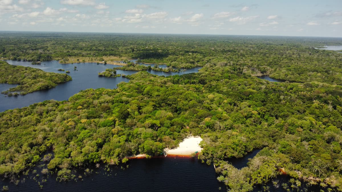 White-sand beach amid the flooded forest