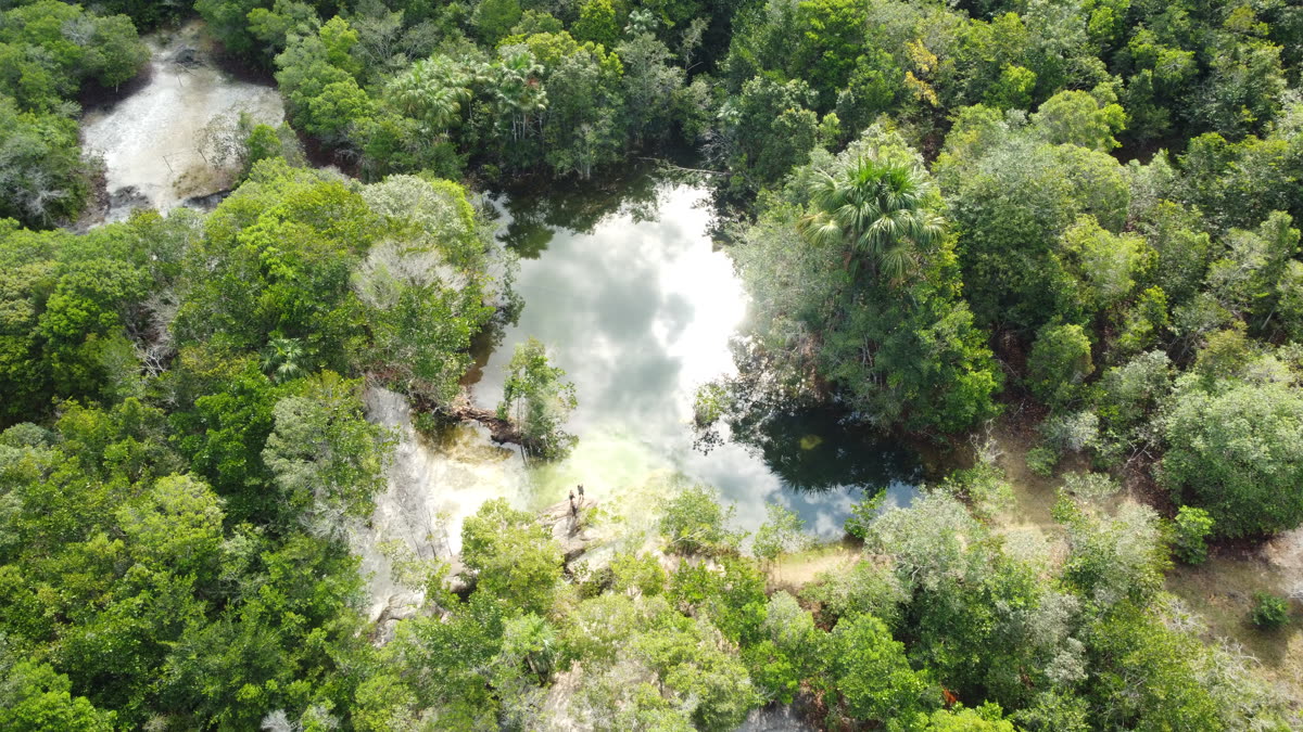Hidden lagoon in the Amazon rainforest